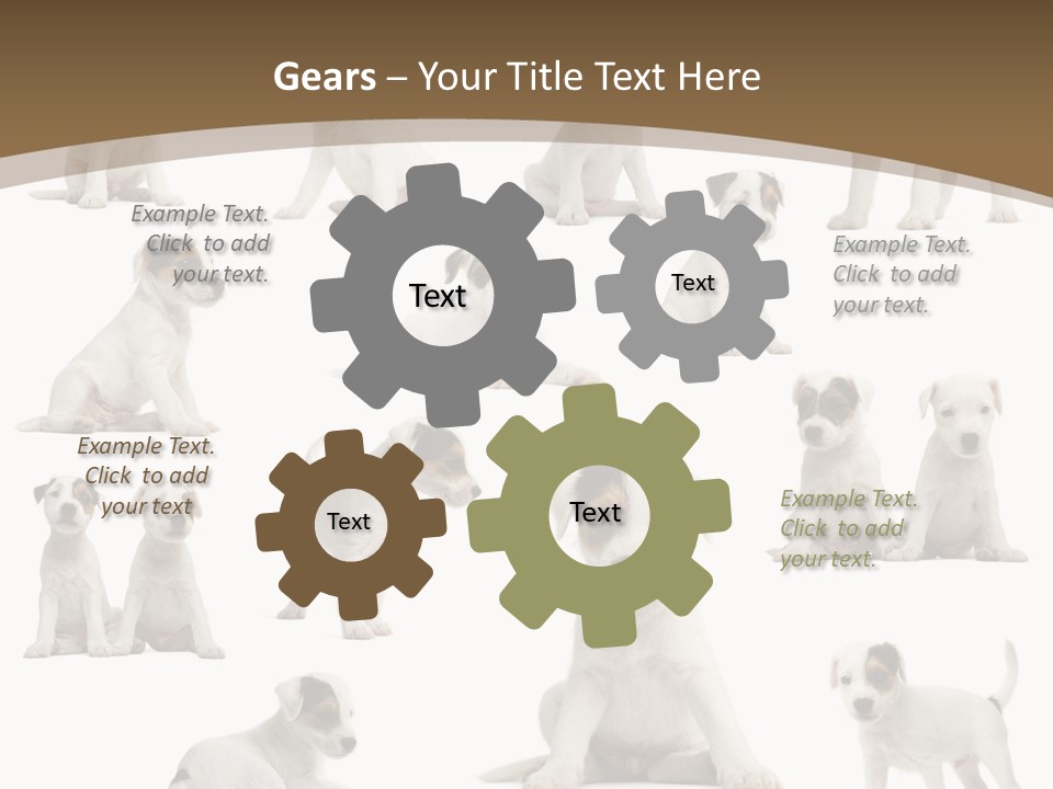 Parson Russell Terrier Puppies PowerPoint Template