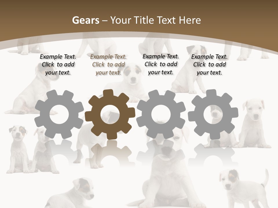 Parson Russell Terrier Puppies PowerPoint Template