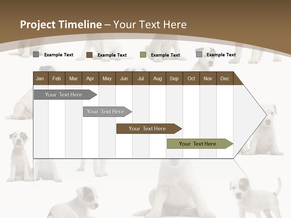 Parson Russell Terrier Puppies PowerPoint Template