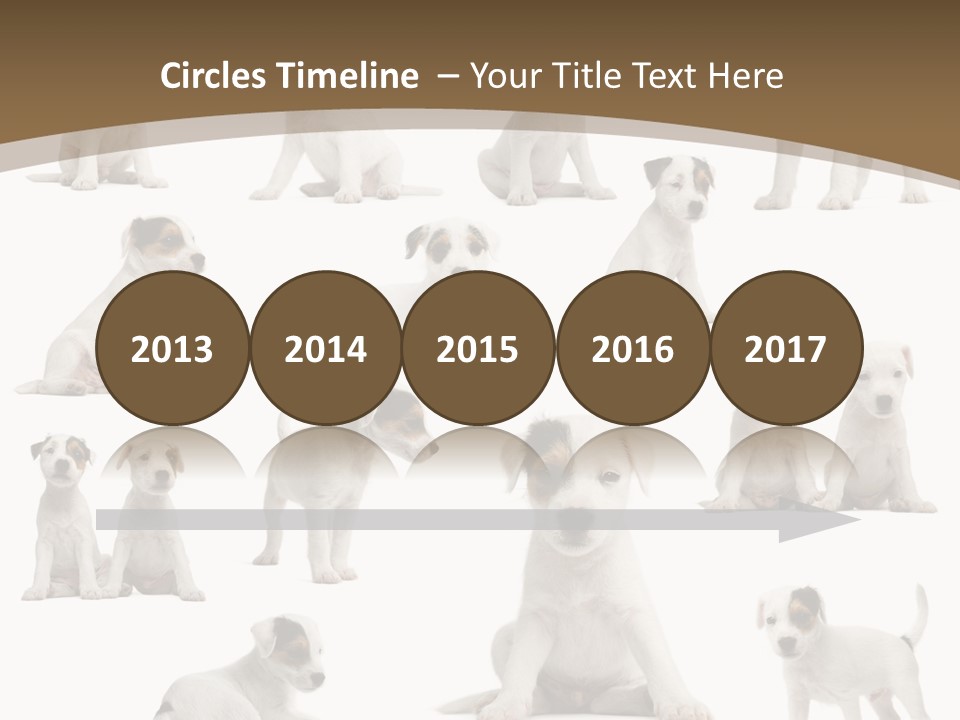 Parson Russell Terrier Puppies PowerPoint Template