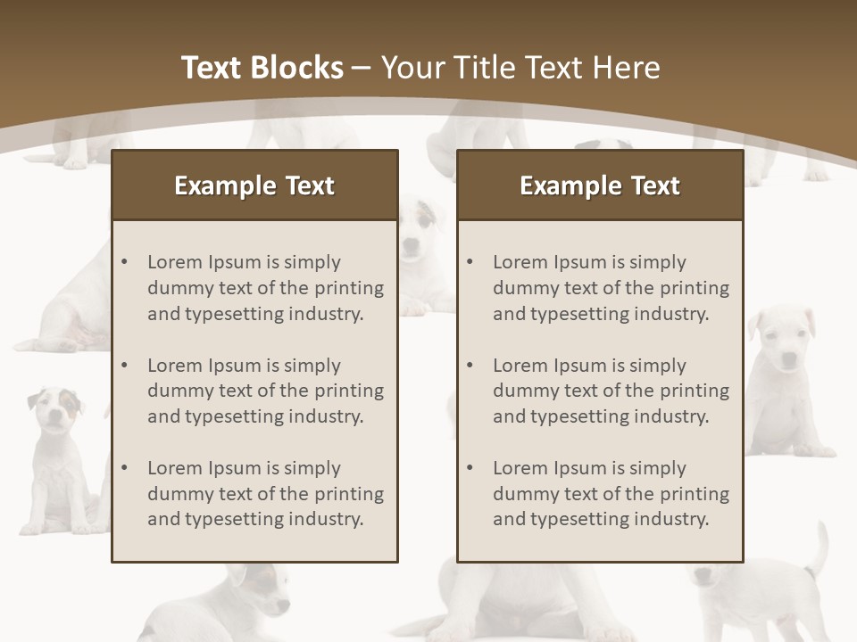 Parson Russell Terrier Puppies PowerPoint Template