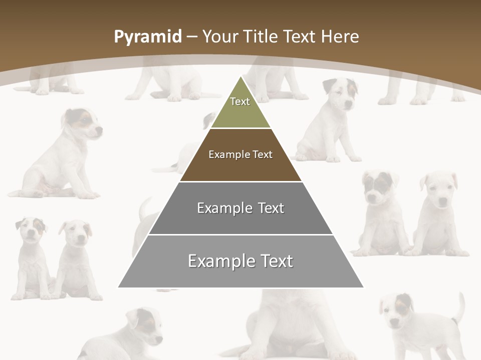 Parson Russell Terrier Puppies PowerPoint Template