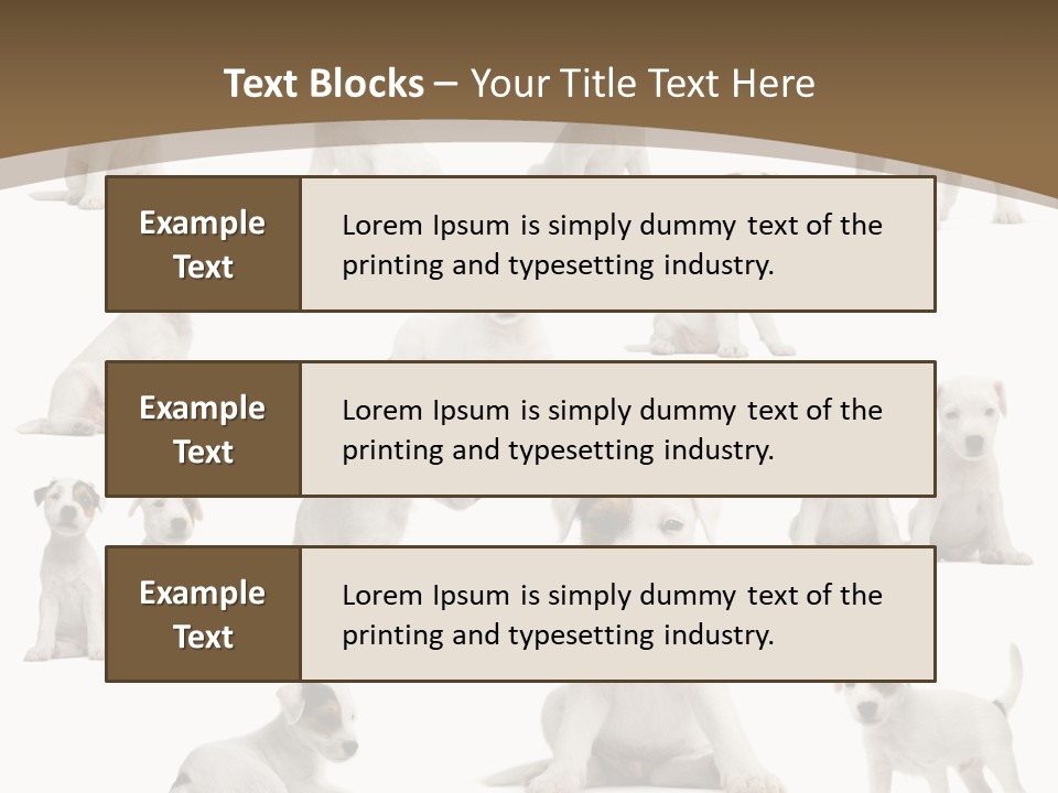 Parson Russell Terrier Puppies PowerPoint Template