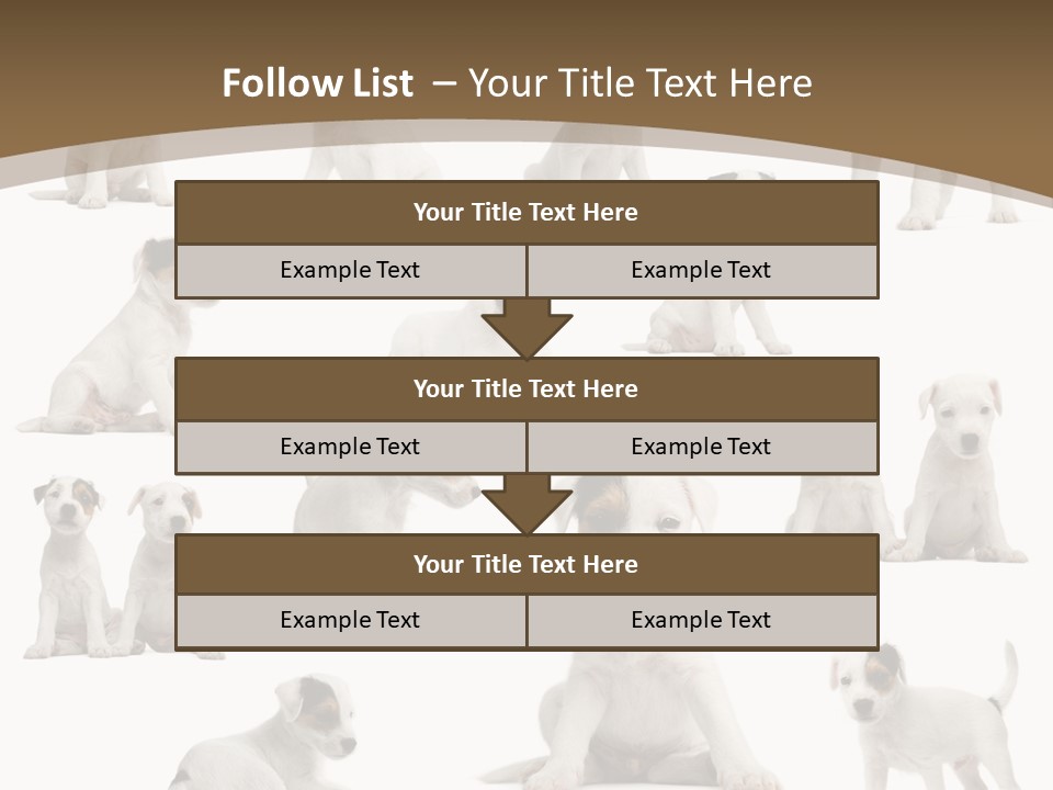 Parson Russell Terrier Puppies PowerPoint Template