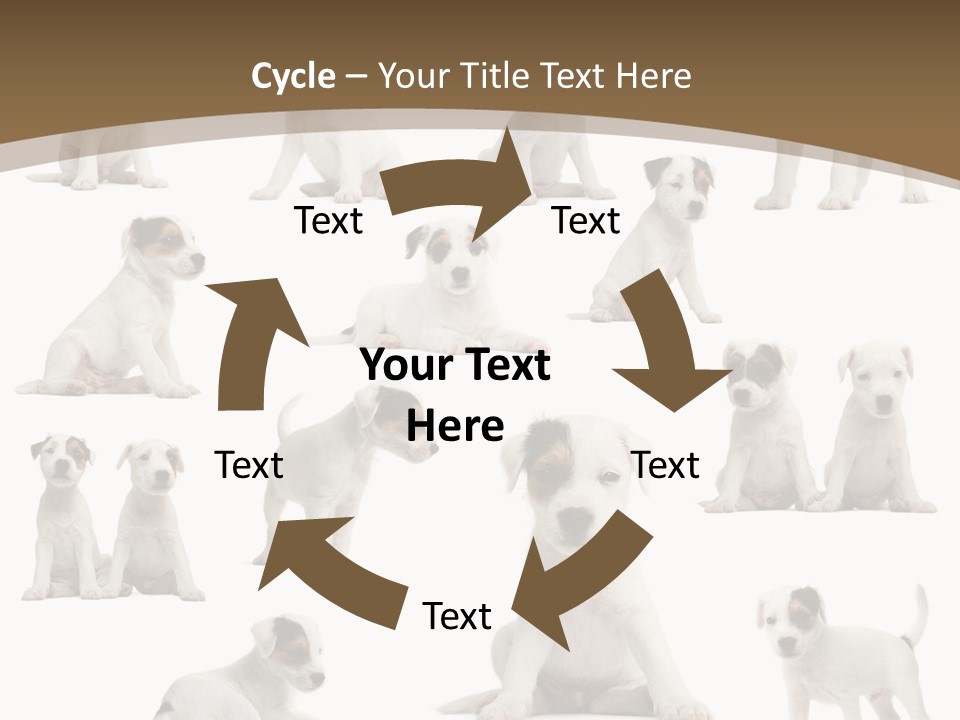 Parson Russell Terrier Puppies PowerPoint Template