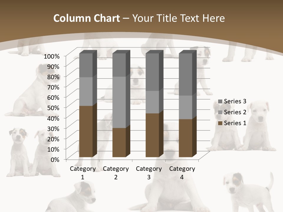 Parson Russell Terrier Puppies PowerPoint Template