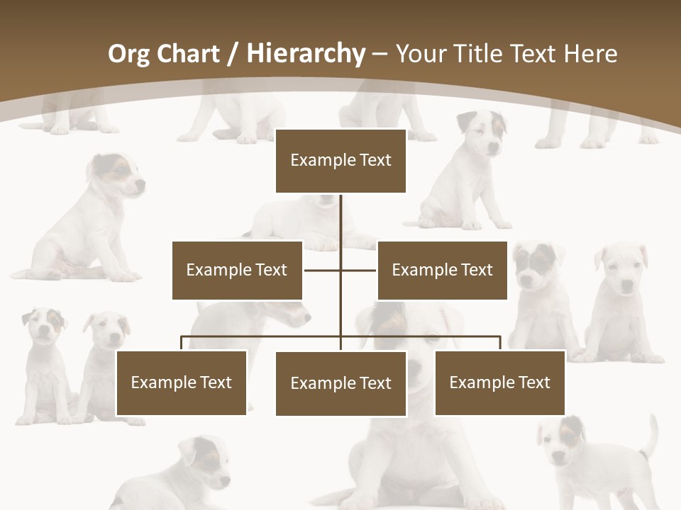 Parson Russell Terrier Puppies PowerPoint Template