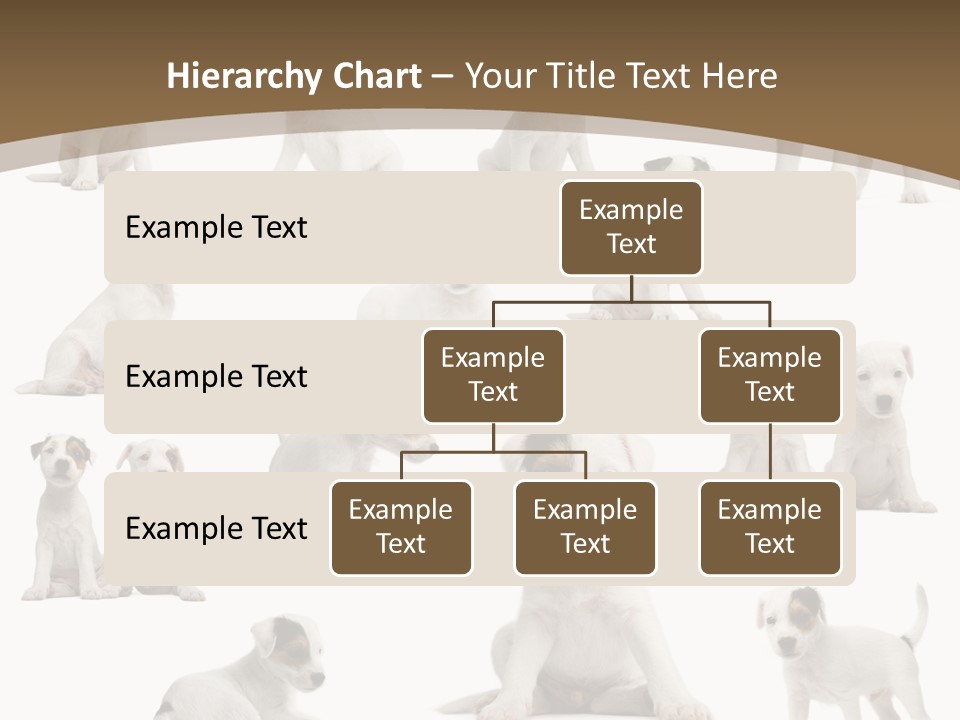 Parson Russell Terrier Puppies PowerPoint Template