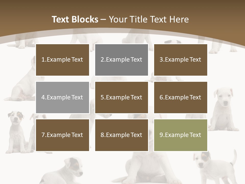 Parson Russell Terrier Puppies PowerPoint Template