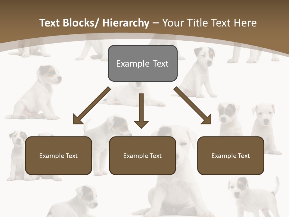 Parson Russell Terrier Puppies PowerPoint Template