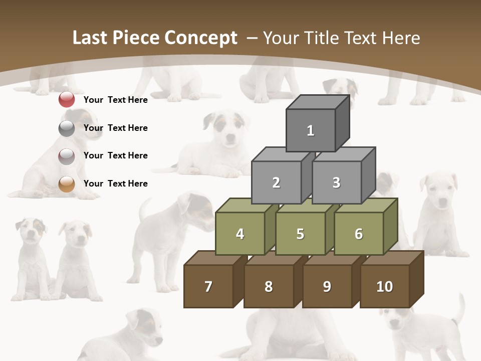 Parson Russell Terrier Puppies PowerPoint Template