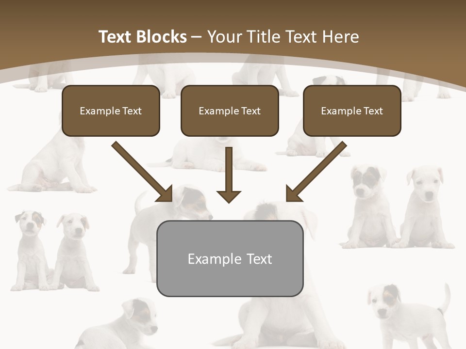 Parson Russell Terrier Puppies PowerPoint Template