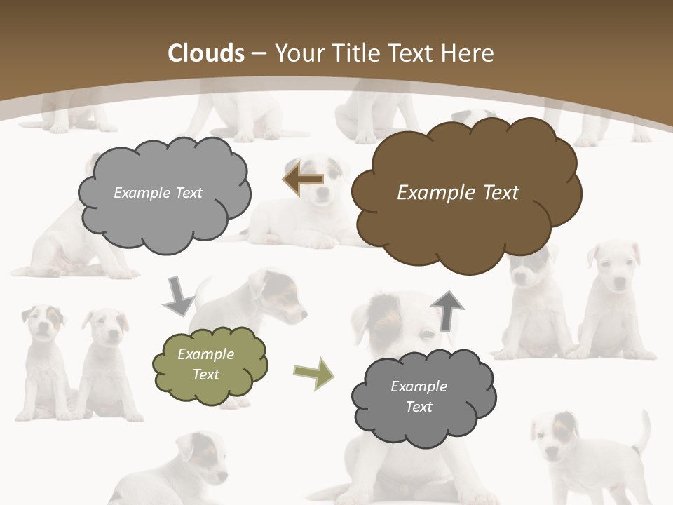 Parson Russell Terrier Puppies PowerPoint Template