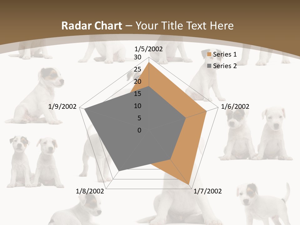 Parson Russell Terrier Puppies PowerPoint Template