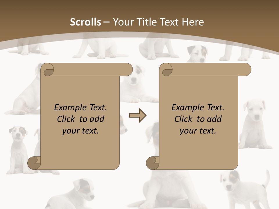 Parson Russell Terrier Puppies PowerPoint Template