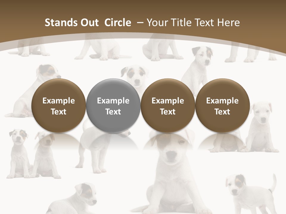 Parson Russell Terrier Puppies PowerPoint Template