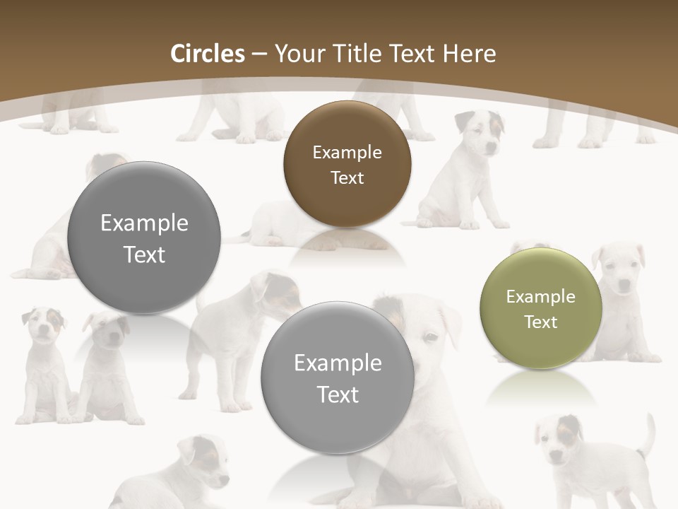 Parson Russell Terrier Puppies PowerPoint Template