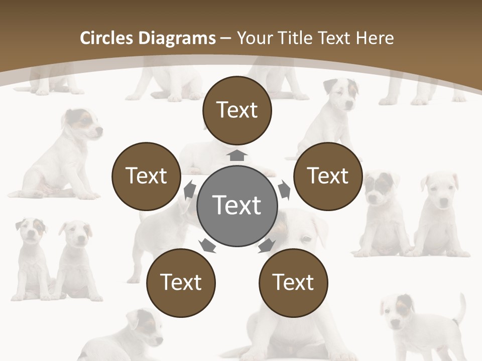 Parson Russell Terrier Puppies PowerPoint Template