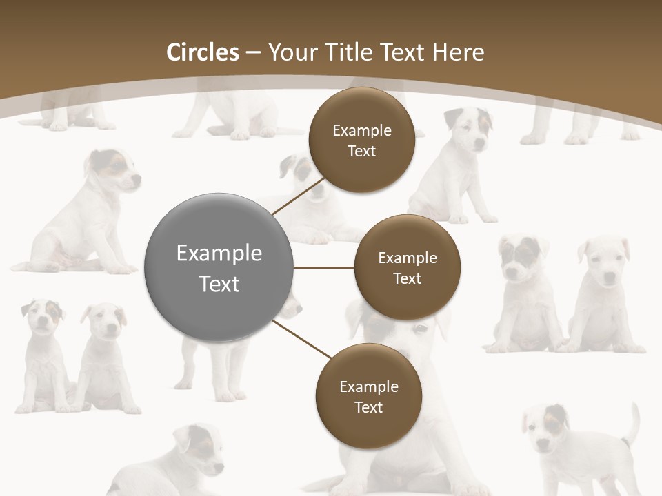 Parson Russell Terrier Puppies PowerPoint Template