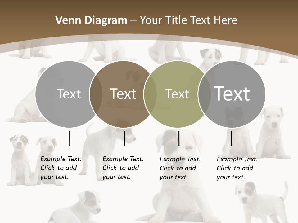 Parson Russell Terrier Puppies PowerPoint Template