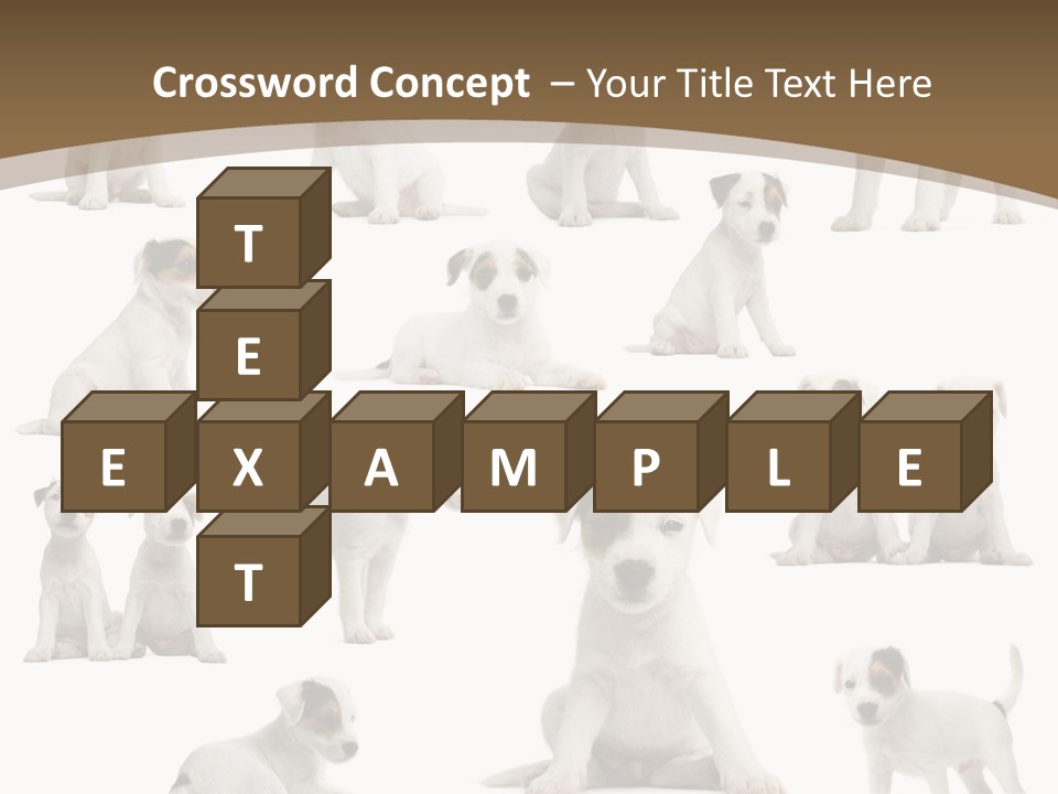 Parson Russell Terrier Puppies PowerPoint Template