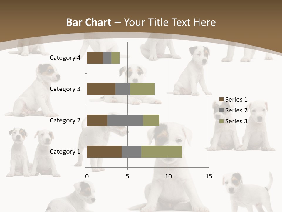 Parson Russell Terrier Puppies PowerPoint Template