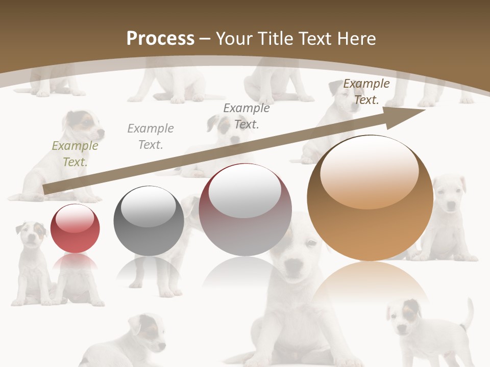 Parson Russell Terrier Puppies PowerPoint Template