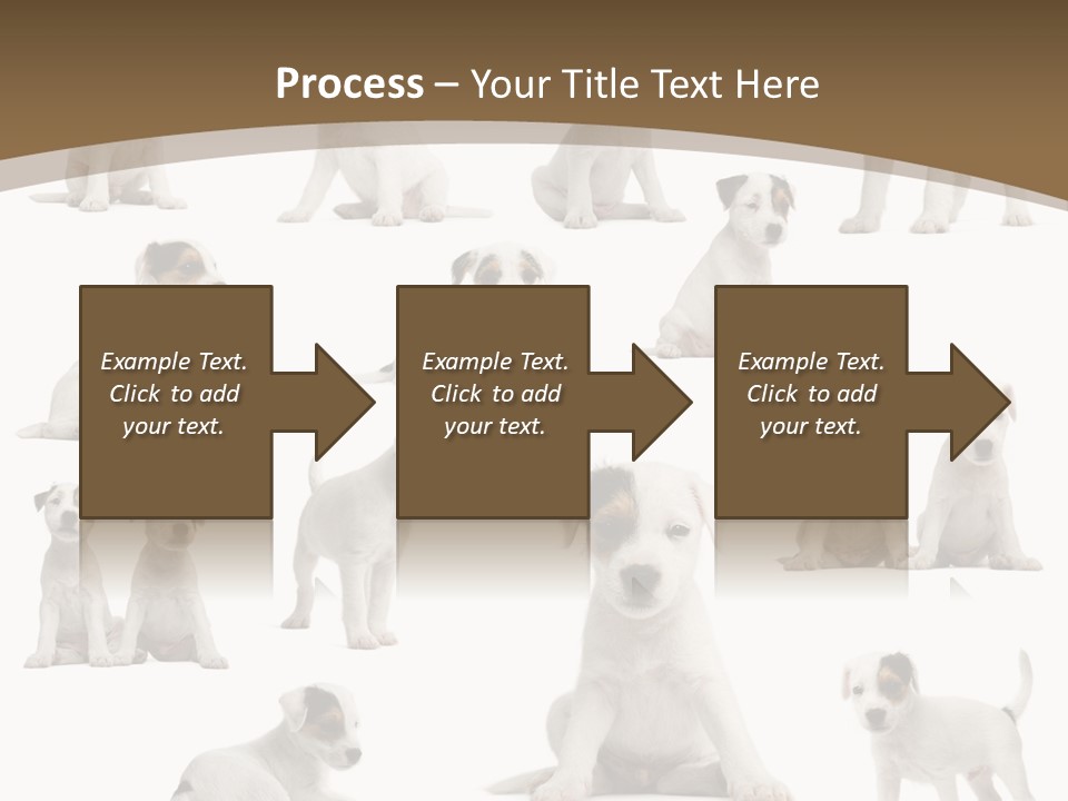 Parson Russell Terrier Puppies PowerPoint Template