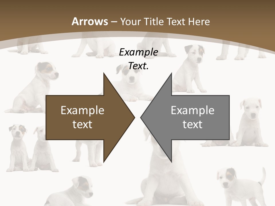 Parson Russell Terrier Puppies PowerPoint Template