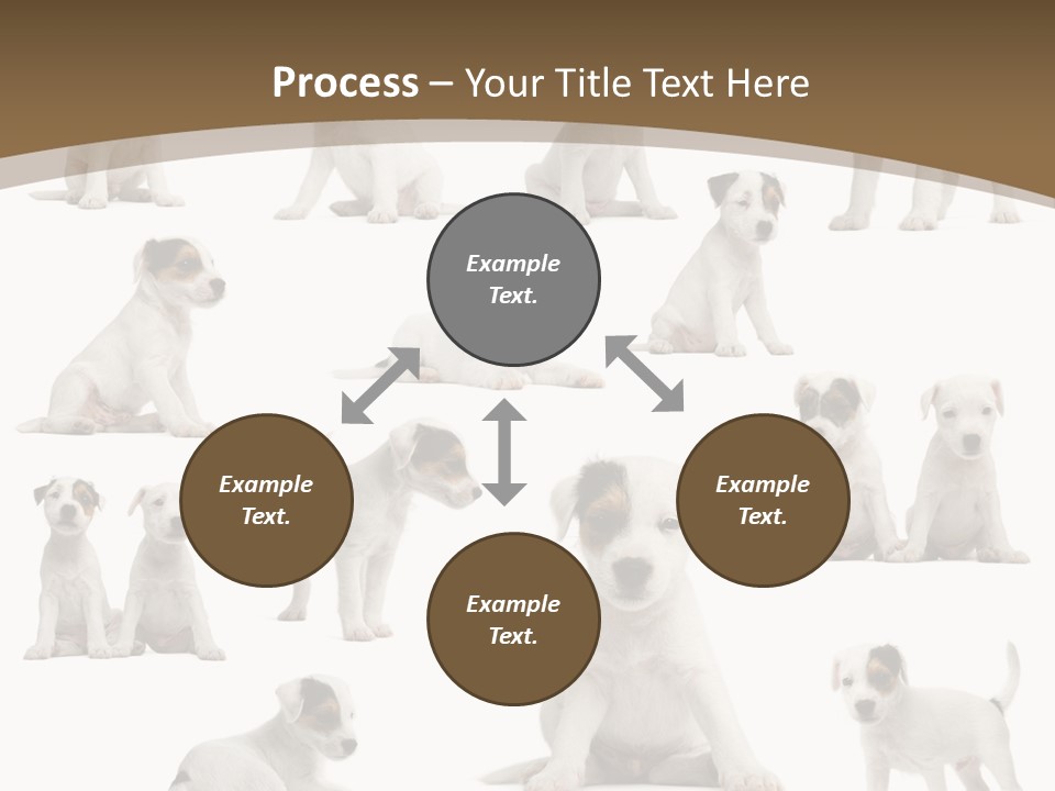 Parson Russell Terrier Puppies PowerPoint Template