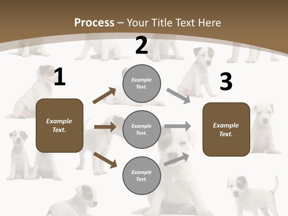Parson Russell Terrier Puppies PowerPoint Template