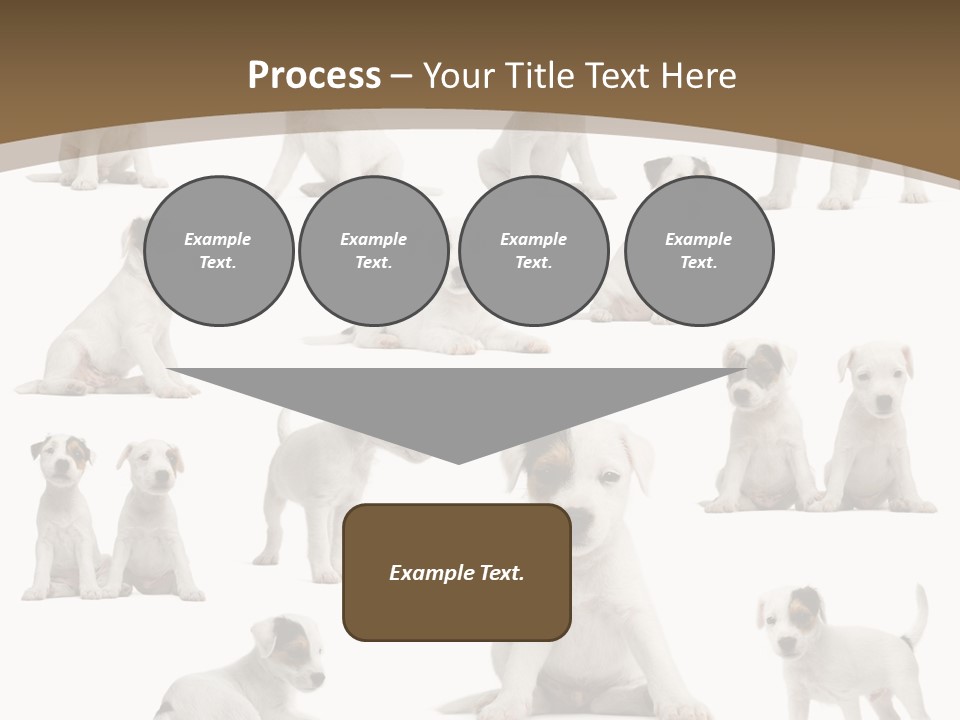 Parson Russell Terrier Puppies PowerPoint Template