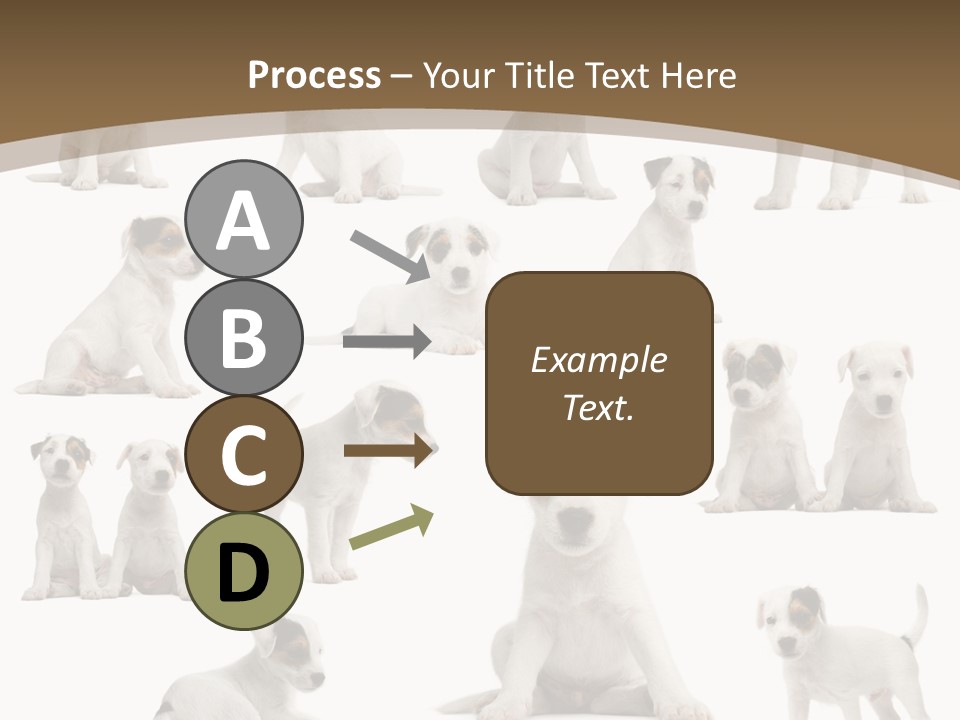 Parson Russell Terrier Puppies PowerPoint Template