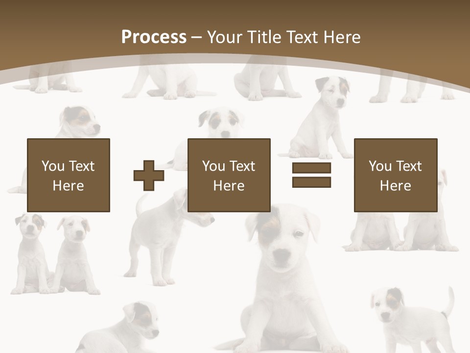 Parson Russell Terrier Puppies PowerPoint Template
