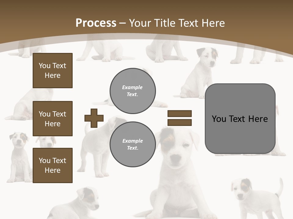Parson Russell Terrier Puppies PowerPoint Template
