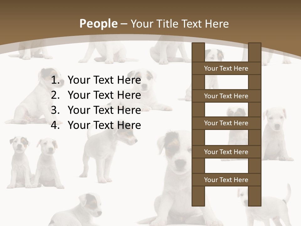 Parson Russell Terrier Puppies PowerPoint Template