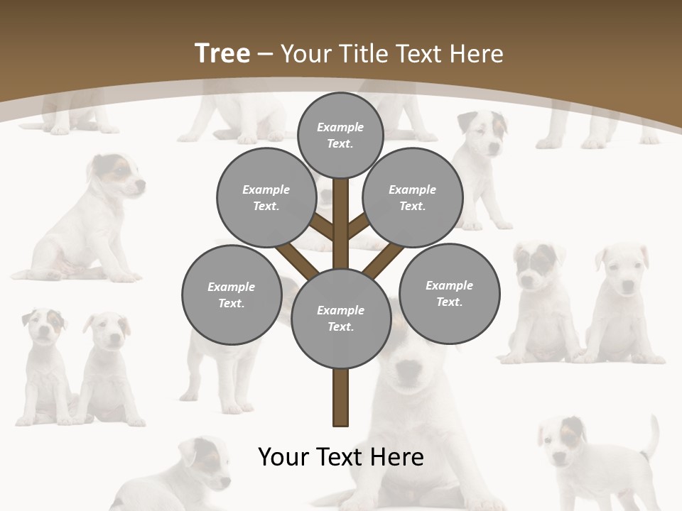 Parson Russell Terrier Puppies PowerPoint Template
