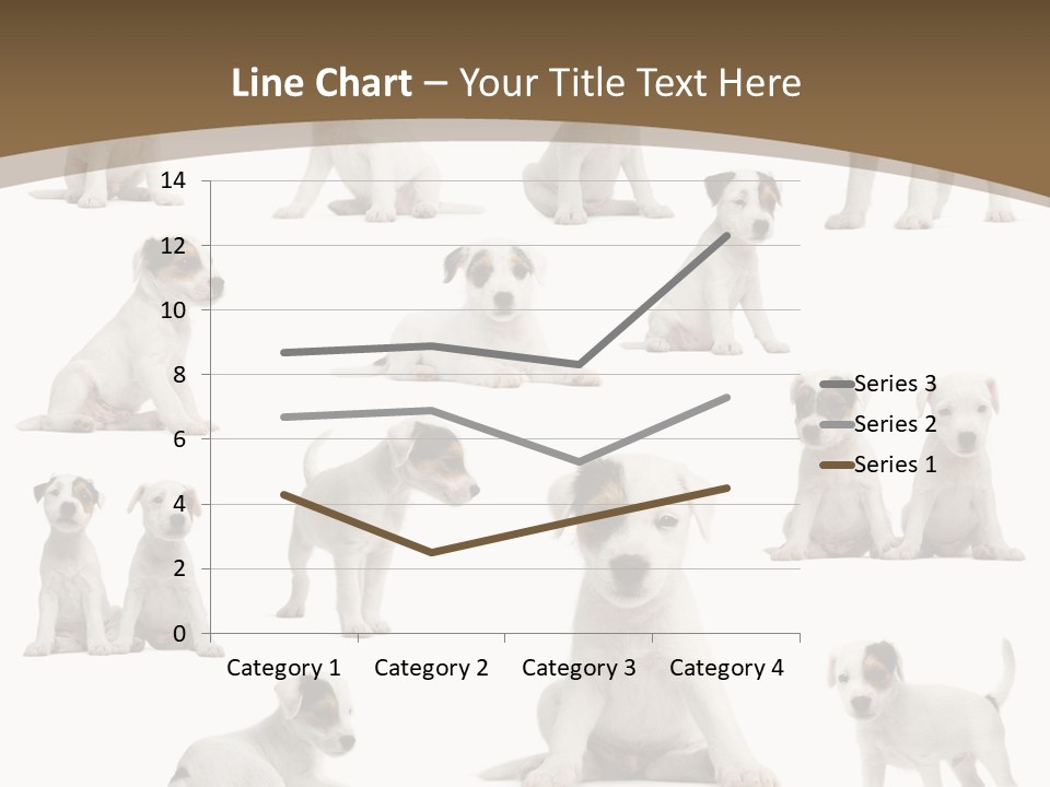 Parson Russell Terrier Puppies PowerPoint Template