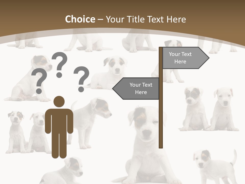 Parson Russell Terrier Puppies PowerPoint Template