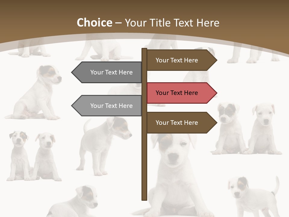 Parson Russell Terrier Puppies PowerPoint Template