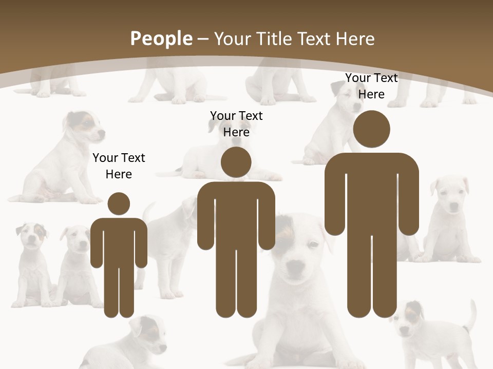 Parson Russell Terrier Puppies PowerPoint Template