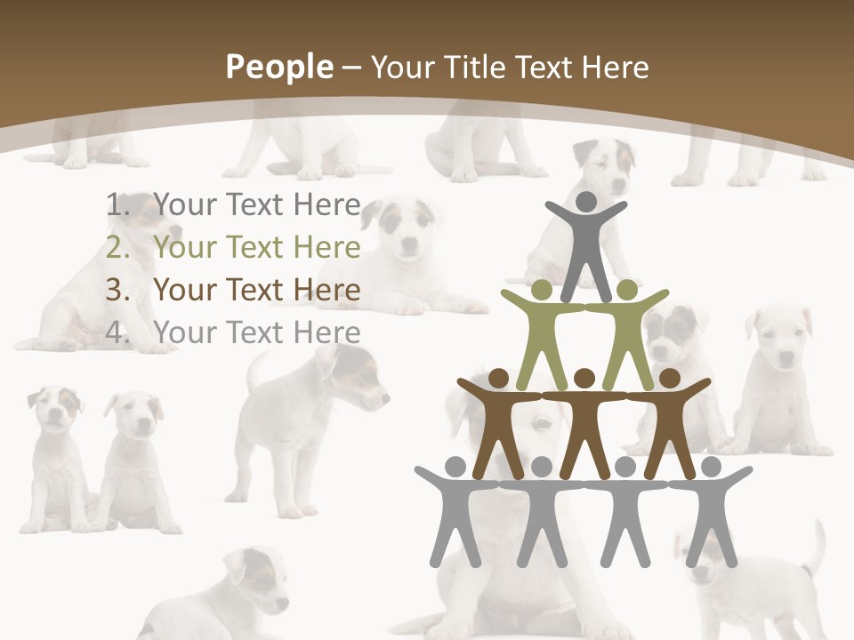 Parson Russell Terrier Puppies PowerPoint Template