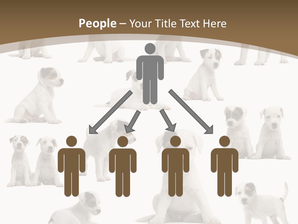 Parson Russell Terrier Puppies PowerPoint Template