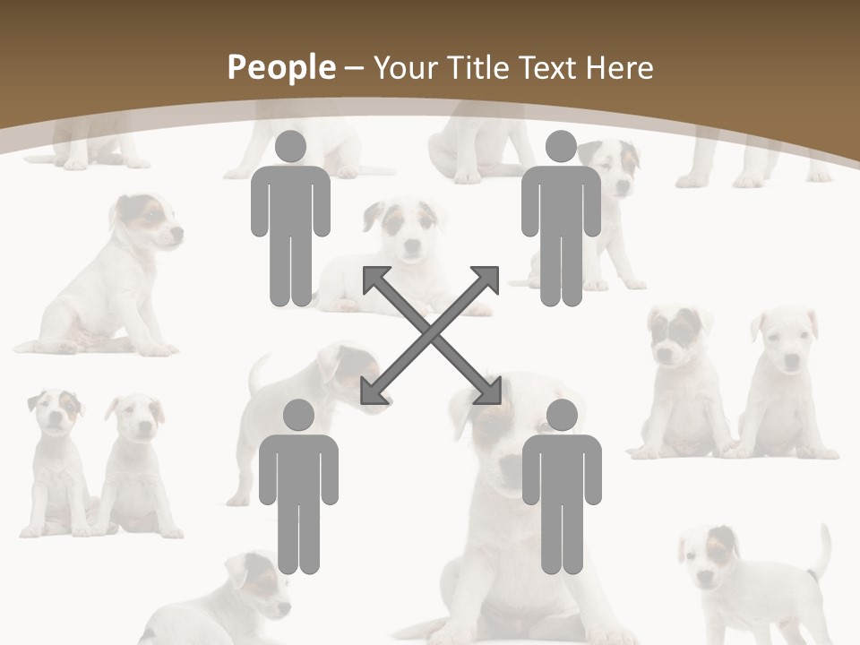Parson Russell Terrier Puppies PowerPoint Template