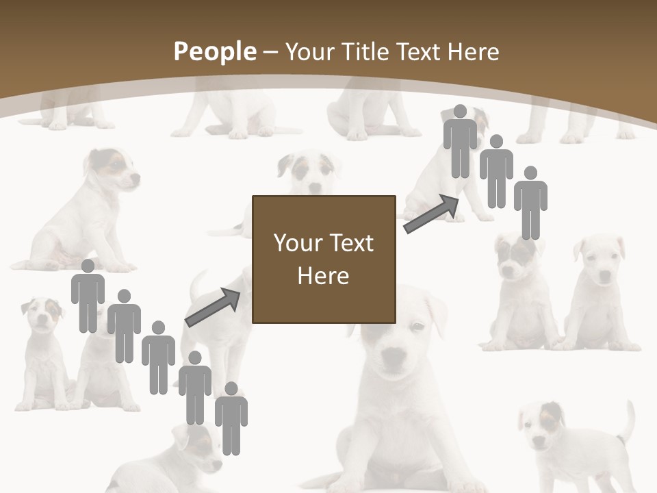 Parson Russell Terrier Puppies PowerPoint Template