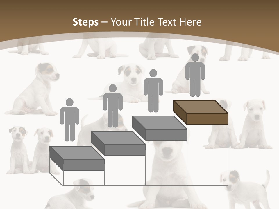 Parson Russell Terrier Puppies PowerPoint Template