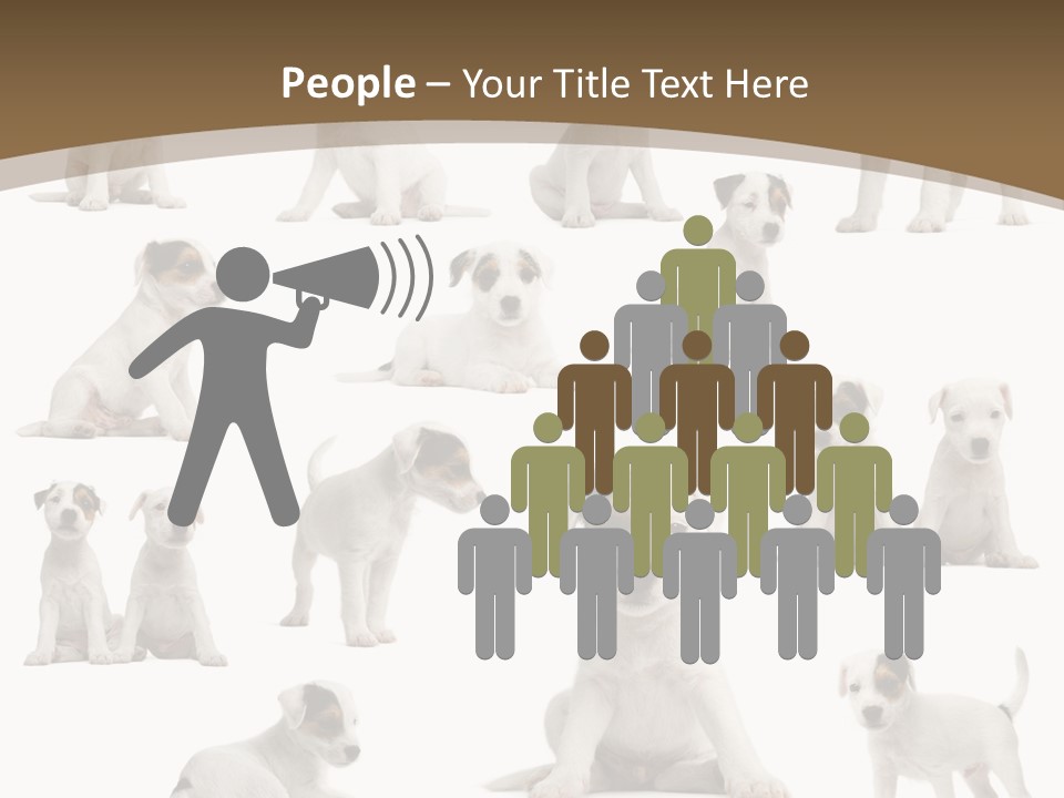 Parson Russell Terrier Puppies PowerPoint Template