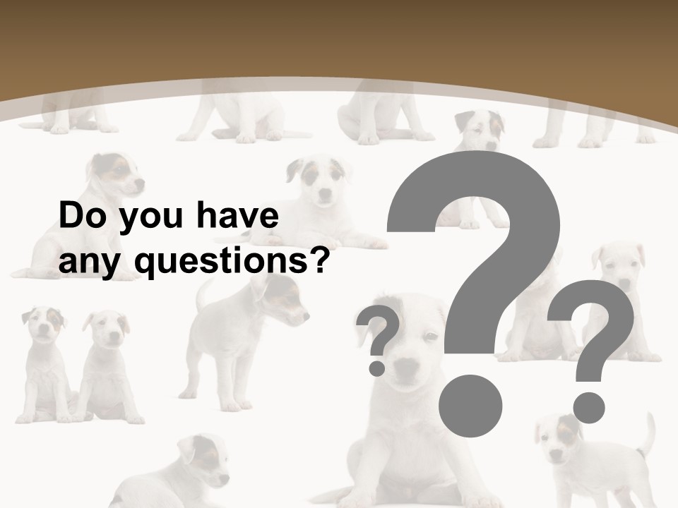Parson Russell Terrier Puppies PowerPoint Template
