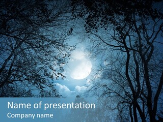 Moonlight Night PowerPoint Template