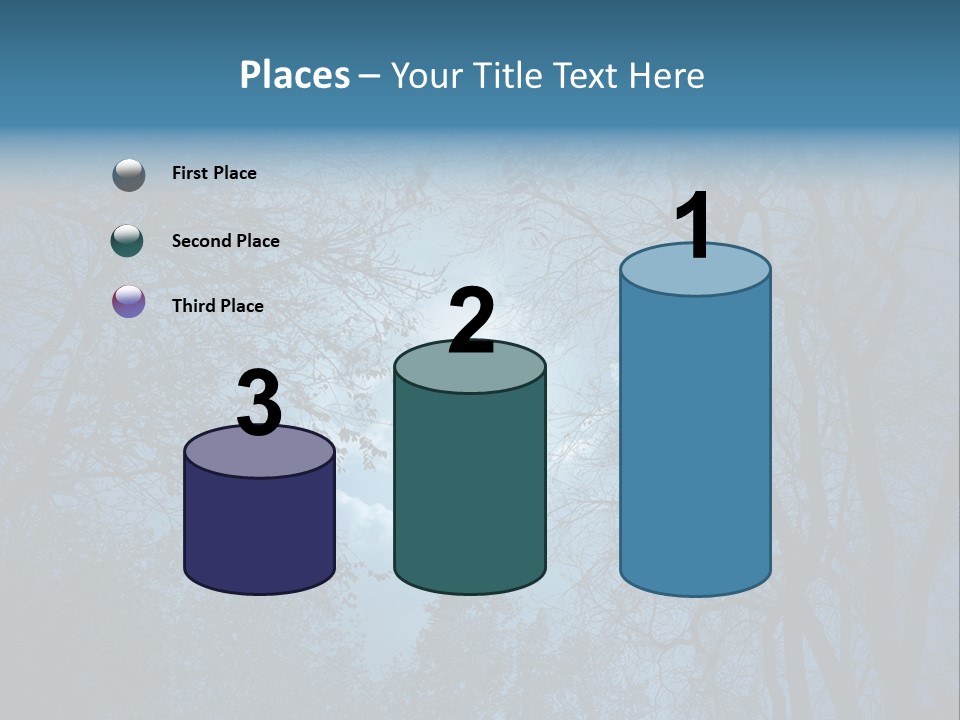 Moonlight Night PowerPoint Template